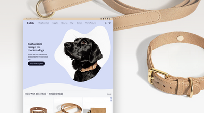 Meet Fetch, The Best Shopify Theme For Pet Stores