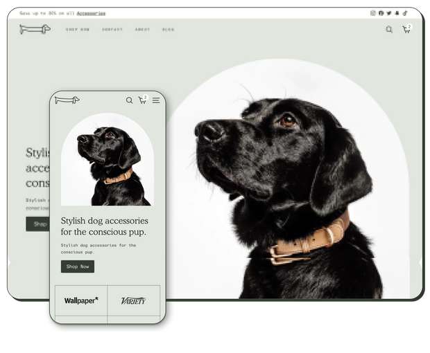 Fetch Shopify Theme