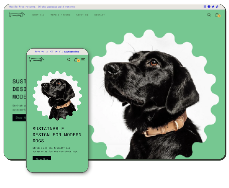 Dog sales accessories shopify