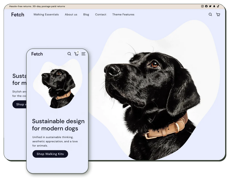 Fetch Minimalist and flexible Shopify Theme Archetype Themes